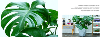 公司新聞 公司新聞